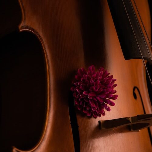 Allegro-thumbnail